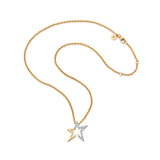 Perfect Moment X Sophie Lis Star Necklace